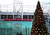 Juletreet på utsiden av Old Trafford, med Old Trafford i bakgrunnen.