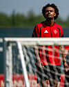 Joshua Zirkzee på trening.