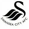 swansea_100x100