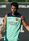 fabregas