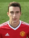 Profil Darmian
